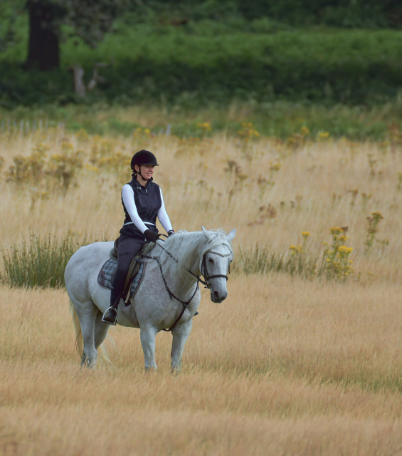 Luxury Lifestyle and Passion for Horse Riding1